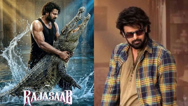 The Rajasaab Day 6 Expected Box Office Collections Worldwide The Rajasaab Day 6 Expected Box Office Collections Worldwide