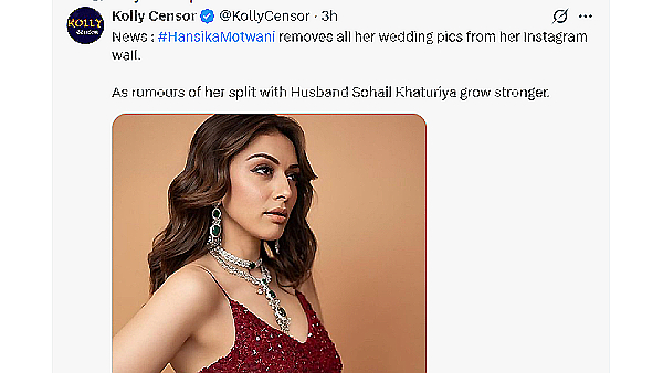 Hansika Motwani Divorce with Sohail Khaturiya