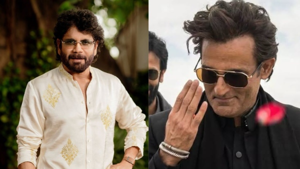 Nagarjuna Breaks Silence on Dhurandhar Movie Villain Role Rumours Praises Akshaye Khanna