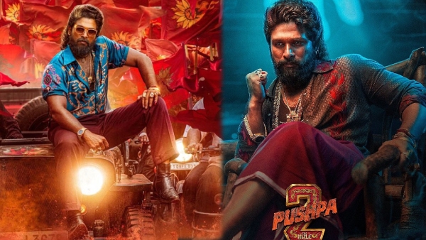 Pushpa2 14 Days Box Office