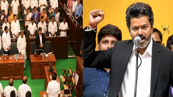 Tamil Nadu Assembly CM Vijay Govt Wins Floor Test With 144 Votes 25 AIADMK MLAs Vote For TVK