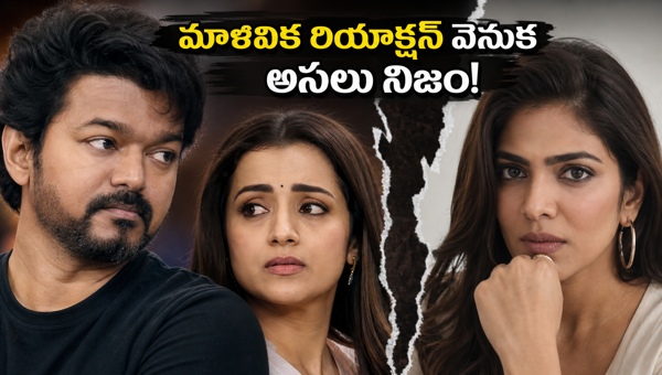 Vijay and Trisha relationship rumors Malavika Mohanan s reaction sparks new debate in 2026