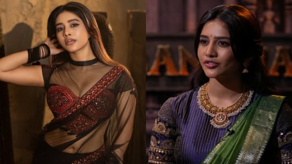 Nabha Natesh Opens Up About Road Accident Career Break and working with hero Nithin