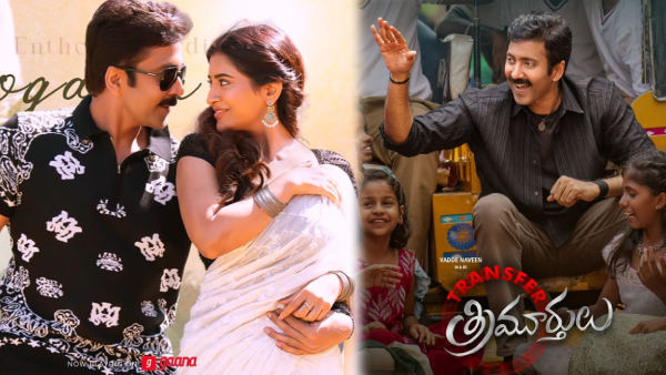 Transfer Trimurthulu Box Office Closing Collections