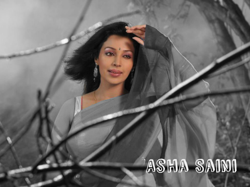 Asha Saini Wallpapers
