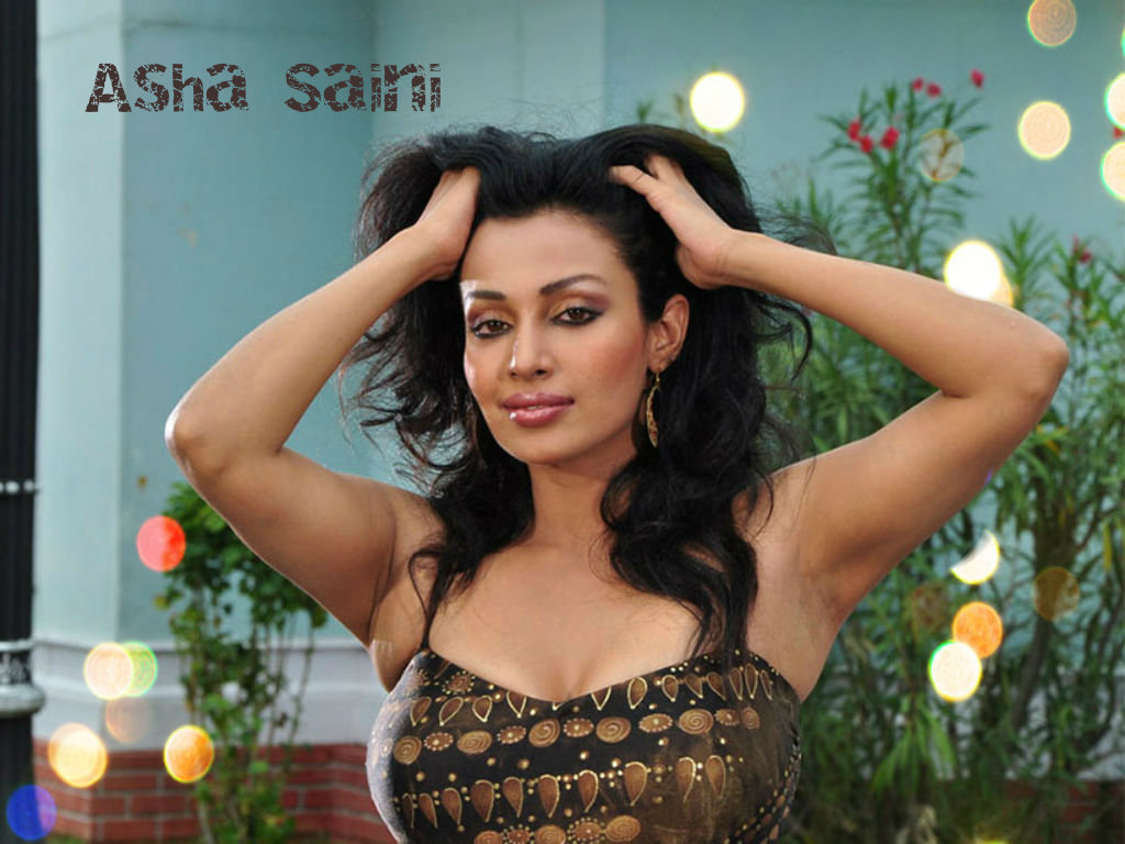 Asha Saini Wallpapers