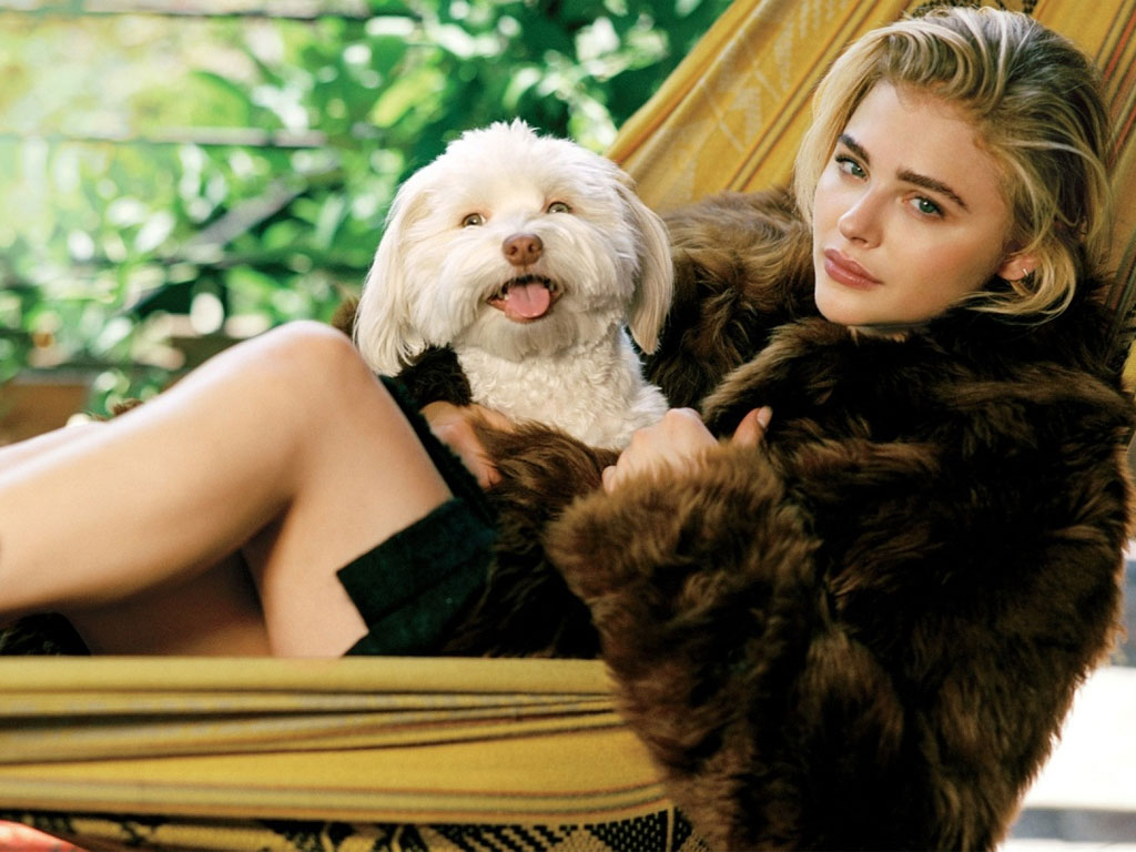 Chloe Moretz Wallpapers