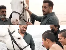 Battle Of Galwan: Did You Know? The Horse Featured In The Song Main Hoon Is Salman Khan’s Own Horse
