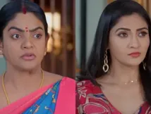 Karthika Deepam 2 Today's Episode (Feb 26) Update: Karthik's Mind Games With Paru Stuns Shivannarayana