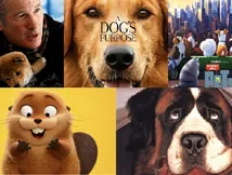Before Hoppers Hops In: 5 Films That Captured The Magic Between Humans And Their Pets