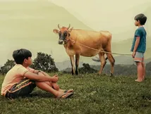 Valavaara OTT Release Date And Platform: When And Where To Watch The Kannada Coming-Of-Age Drama