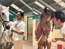 Randeep Hooda Shares Peaceful Moments With Horses Hope And Veer, Fans Love His Bond - PICS