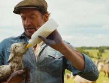The Sheep Detectives First Reactions: Critics Dub Hugh Jackman's Whodunit Is 'Among the Best Films of 2026'   