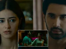 Chand Mera Dil Ending Explained: Happy Or Sad Ending? Did Aarav-Chandni Reunite After The Post-Wedding Drama?