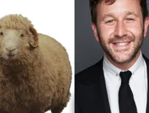 The Sheep Detectives: From Julia Louis Dreyfus And Bryan Cranston To Patrick Stewart, Meet The 'Sheep'
