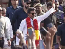 Tamil Nadu Next CM: Vijay's Chances Explained, What TVK Needs To Reach Majority And Form Government