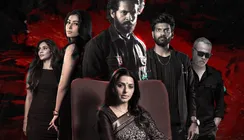 Euphoria OTT Release Date And Platform: When And Where To Watch Bhumika Chawla, Sara Arjun And Vignesh's Film