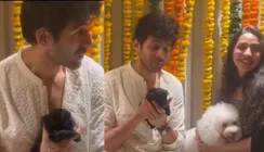 National Pet Day 2026: Kartik Aaryan's Cute Moment With Katori, Chatori Is The BEST Video On Internet Today