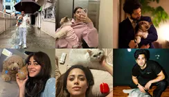 National Pet Day: Bollywood Stars &amp; Their Favourite Beings Who Make Life Paw-fect