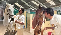 Randeep Hooda Shares Peaceful Moments With Horses Hope And Veer, Fans Love His Bond - PICS