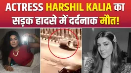 Harshil Kalia Dies in Road Accident, CCTV Shows Car Flipping After Hitting Divider!