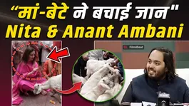 Nita Ambani's big step, animals from Kamakhya will be sent to Vantara | Special initiative on Anant's birthday!