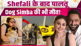 Shefali Jariwala's Dog Simba Dies After Her Death, Parag Tyagi Gets Emotional