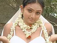 Ninu Veedani Neeedanu Nene begins shooting 