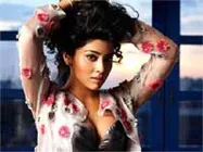 Shreya back to Tollywood with Don Seenu
