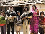 Peepli Live kick starts the season of small films