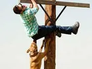 Jackass 3-D tops weekend box office