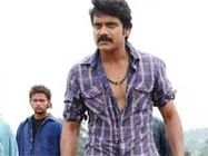 Nagarjuna prefers filmmakers over script