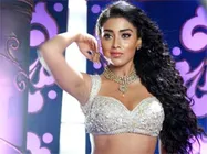 Shreya Saran denies doing 'Munni'