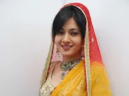 Sonal Sehgal says Damadamm is a light-hearted romantic comedy