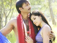 Gopichand's Mogudu gets decent opening at Box Office