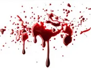 Huduga Hudugi actress Sowmya assaulted by an ex-cop