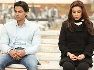 Blood Money, a sweep away success at the Box Office