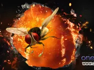 Eega, Naan Ee and Eecha are releasing on July 6th: Rajamouli