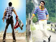 Kandireega to be remade in Hindi with Varun Dhawan in lead