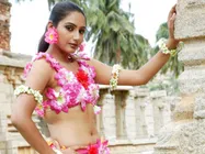 Ragini Dwivedi to spice up Election!
