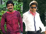 Sunil couldn't say 'No' to Allari Naresh