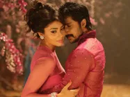 Shriya Saran's external beauty made me approach her: Chandra director Roopa Iyer