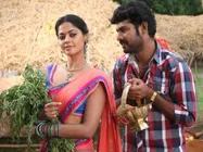 Desingu Raja - Movie Review
