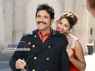 Nagarjuna's Bhai Releasing In Record Number Of Theatres