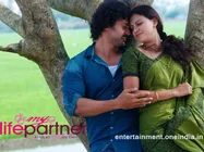 My Life Partner - An Overview