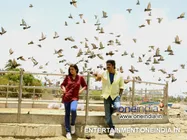 Angry Babies In Love Facing Satellite Issues!