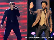 Would Love To Work With Shahrukh: Pitbull