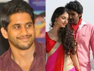 Naga Chaitanya In 'Sigaram Thodu' Remake