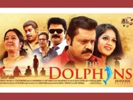 The Dolphins: What Is In Store?