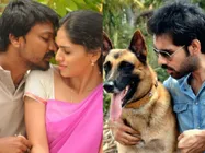 OMG! Vanmam Beats Naaigal Jaakirathai In Round One!